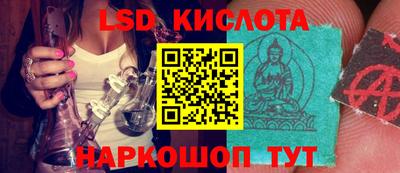 винт Новозыбков