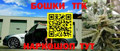 винт Новозыбков