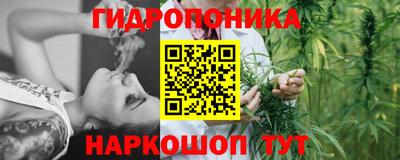 МДПВ Новокубанск