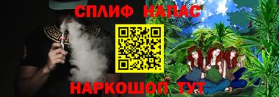 МДПВ Новокубанск
